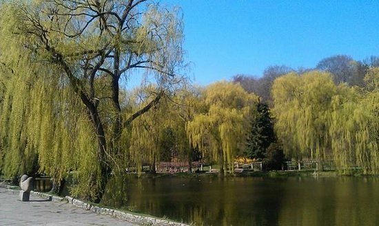Jazda na rowerze po Gdańsku